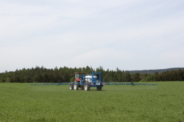 Sprayer ALKA - Polyäthylen Behälter